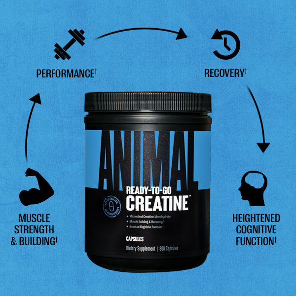 creatine4