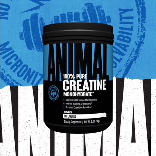 Animal Micronized Creatine